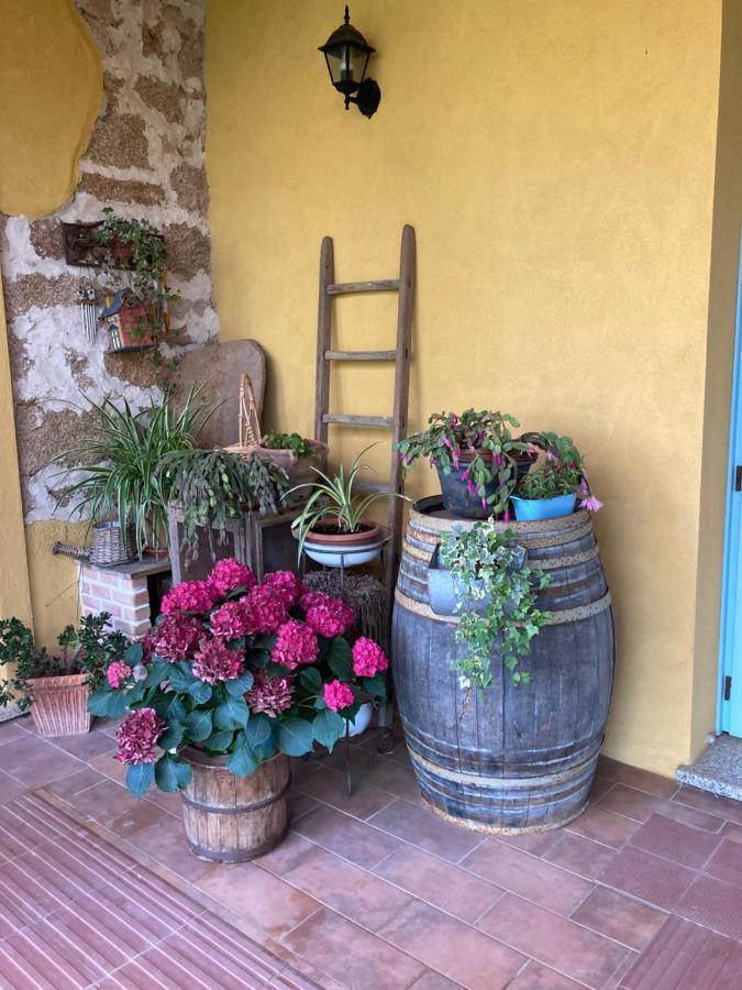 Agriturismo Is Conchisceddas Gonnosfanadiga Екстер'єр фото