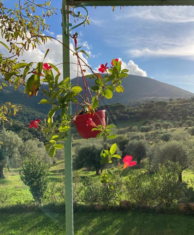 Agriturismo Is Conchisceddas Gonnosfanadiga Екстер'єр фото