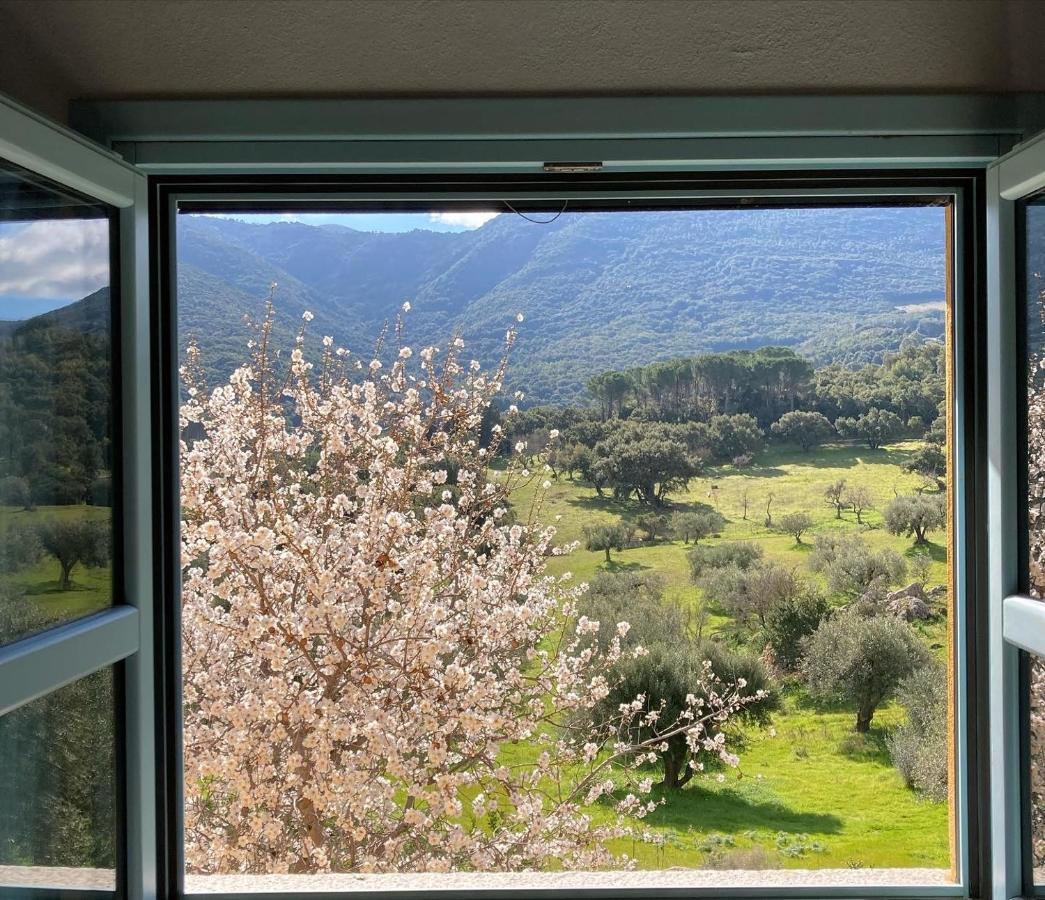 Agriturismo Is Conchisceddas Gonnosfanadiga Екстер'єр фото