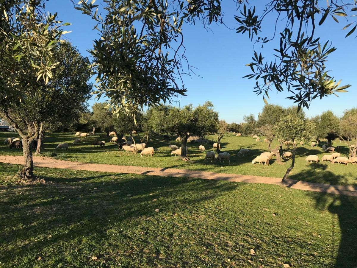 Agriturismo Is Conchisceddas Gonnosfanadiga Екстер'єр фото